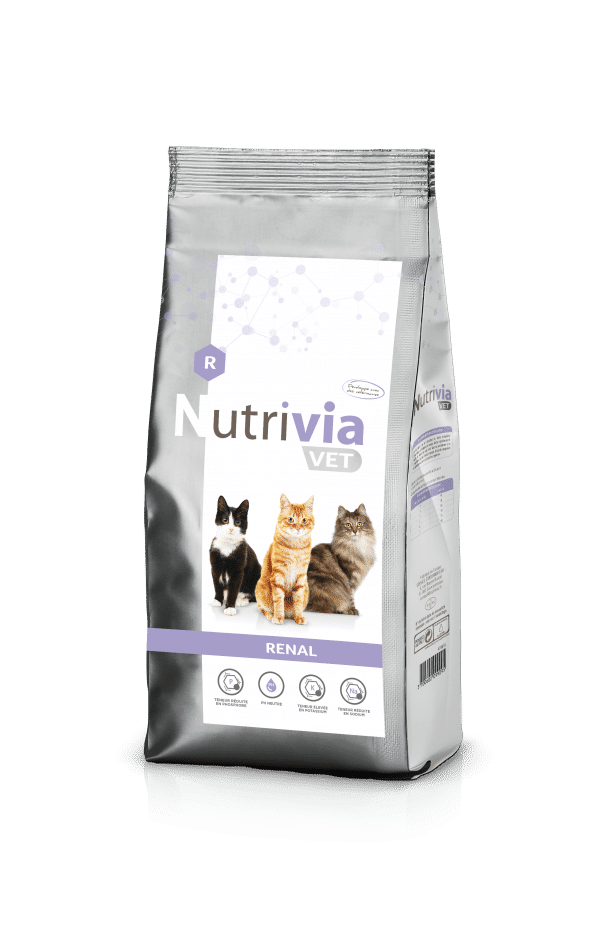 Chat Renal 1,5kg