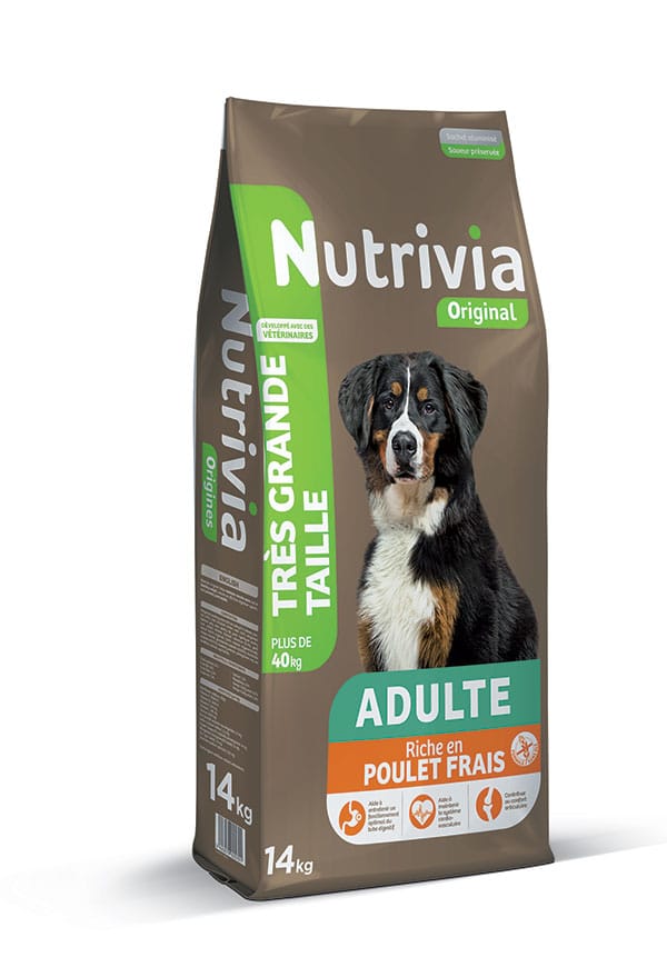 Nutrivia Original – Croquettes Au Poulet Frais Pour Chien Adulte De Très Grande Taille